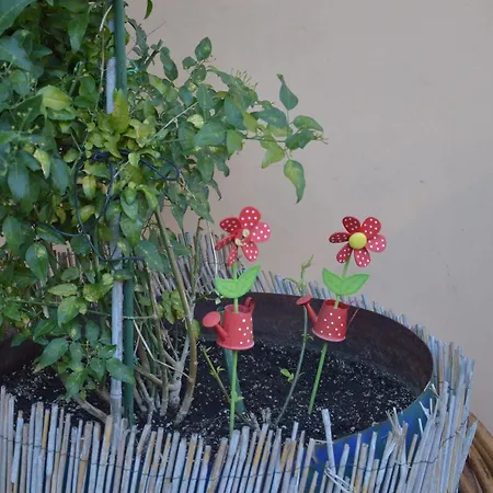 Reverenza Apartmán Lixouri