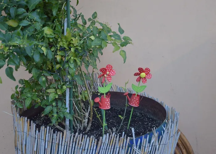 Reverenza Διαμέρισμα Ληξούρι